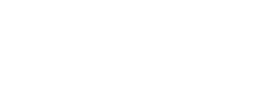 Smart Vision Systems for IT